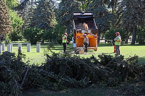 17062024
City of Brandon workers clean up a large tree that fell in the Brandon Cemetery during the high winds and storms that rolled through southwestern Manitoba throughout the weekend. 
(Tim Smith/The Brandon Sun)