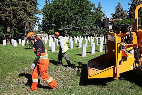 17062024
City of Brandon workers clean up a large tree that fell in the Brandon Cemetery during the high winds and storms that rolled through southwestern Manitoba throughout the weekend. 
(Tim Smith/The Brandon Sun)