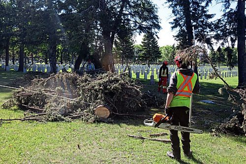 17062024
City of Brandon workers clean up a large tree that fell in the Brandon Cemetery during the high winds and storms that rolled through southwestern Manitoba throughout the weekend. 
(Tim Smith/The Brandon Sun)