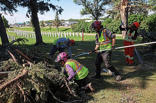 17062024
City of Brandon workers clean up a large tree that fell in the Brandon Cemetery during the high winds and storms that rolled through southwestern Manitoba throughout the weekend. 
(Tim Smith/The Brandon Sun)