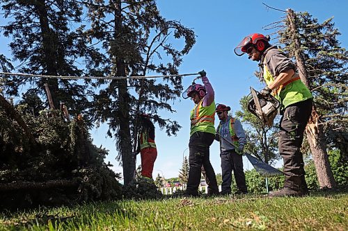 17062024
City of Brandon workers clean up a large tree that fell in the Brandon Cemetery during the high winds and storms that rolled through southwestern Manitoba throughout the weekend. 
(Tim Smith/The Brandon Sun)