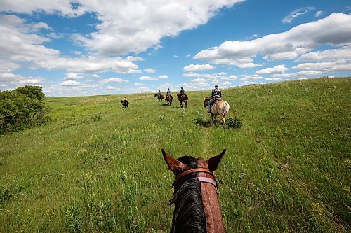 19062024
Kim Richardson (L) of Lucky Break Ranch leads a trail ride through the prairies near the riding stable and ranch southwest of Rivers, Manitoba on Wednesday afternoon. The ranch holds weekly barrel-racing jackpots on Thursday evenings. Pick up the Thursday, June 27 edition of Westman This Week for a story and more photos from Lucky Break Ranch. 
(Tim Smith/The Brandon Sun)