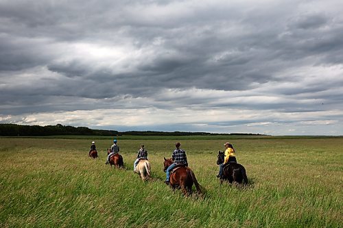 19062024
Kim Richardson (R) of Lucky Break Ranch leads a trail ride through the prairies near the riding stable and ranch southwest of Rivers, Manitoba on Wednesday afternoon. The ranch holds weekly barrel-racing jackpots on Thursday evenings. Pick up the Thursday, June 27 edition of Westman This Week for a story and more photos from Lucky Break Ranch. 
(Tim Smith/The Brandon Sun)