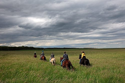 Riders led by Kim Richardson (right) with Lucky Break Ranch make their way through a pasture while recently out for a trail ride southwest of Rivers. The ranch offers a variety of trail rides and also holds weekly barrel-racing jackpots on Thursday evenings. 
(Tim Smith/The Brandon Sun)