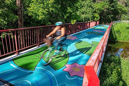 NIC ADAM / FREE PRESS
The newly painted Niakwa bridge on Thursday afternoon.
240620 - Thursday, June 20, 2024.

Reporter: Jura