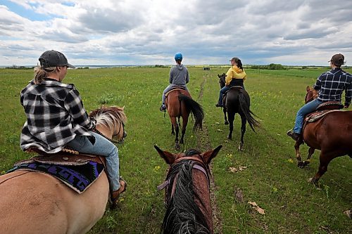 19062024
Riders led by Kim Richardson (second from right) with Lucky Break Ranch make their way through a pasture while out for a trail ride southwest of Rivers, Manitoba on Wednesday afternoon. The ranch offers a variety of trail rides and also holds weekly barrel-racing jackpots on Thursday evenings. 
(Tim Smith/The Brandon Sun)