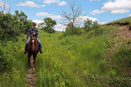 19062024
Melanie Lund, from Norway, rides a quarter horse down into a valley while out for a trail ride with visitors to Lucky Break Ranch southwest of Rivers, Manitoba on Wednesday afternoon. Lund and friend Signe Skaar have been visiting the ranch and helping out for three weeks. (Tim Smith/The Brandon Sun)