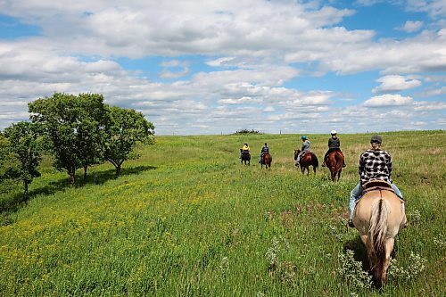 19062024
Riders make their way through a pasture while out for a trail ride run by Lucky Break Ranch southwest of Rivers, Manitoba on Wednesday afternoon. The ranch offers a variety of trail rides and also holds weekly barrel-racing jackpots on Thursday evenings. 
(Tim Smith/The Brandon Sun)