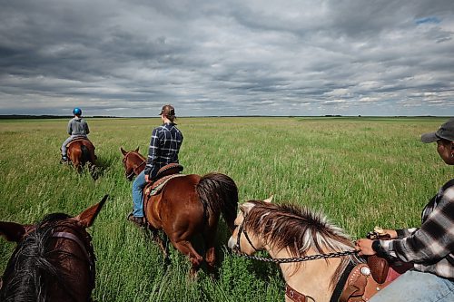 19062024
Riders make their way through a pasture while out for a trail ride run by Lucky Break Ranch southwest of Rivers, Manitoba on Wednesday afternoon. The ranch offers a variety of trail rides and also holds weekly barrel-racing jackpots on Thursday evenings. 
(Tim Smith/The Brandon Sun)