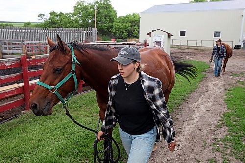 19062024
Signe Skaar and Melanie Lund, from Norway, walk horses back to a paddock at Lucky Break Ranch southwest of Rivers, Manitoba on Wednesday afternoon. Skaar and friend Melanie Lund have been visiting the ranch and helping out for three weeks. (Tim Smith/The Brandon Sun)