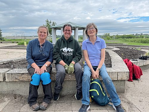 Madelyn Robinson (left), Lindsay Hargreaves and Betty Kelly are members of the team of volunteers with Bee Brandon who helped plant native flowers and grasses at Eleanor Kidd Park last weekend. Robinson and Kelly are also members of Sustainable Brandon, Hargreaves is an environmental initiatives coordinator with the City of Brandon (Michele McDougall/The Brandon Sun)