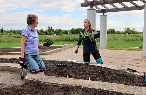 Betty Kelly and Madelyn Robinson are members of the team of volunteers with Bee Brandon who helped plant native flowers and grasses at Eleanor Kidd Park last weekend. They are also members of Sustainable Brandon(Michele McDougall/The Brandon Sun)