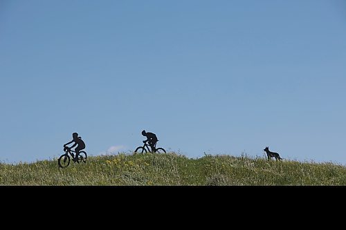 Metal sculptures of children riding bikes with a dog behind them stand out on a hill near Highway 10 south of Brandon. (Tim Smith/The Brandon Sun)