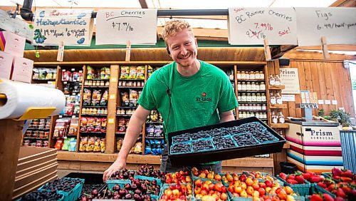 MIKAELA MACKENZIE / FREE PRESS

Colin Rémillard, co-owner of Jardins St-Léon Gardens, with Manitoba-grown Haskaps (the first local berries available), on Monday, June 24, 2024.

For Matt story.

