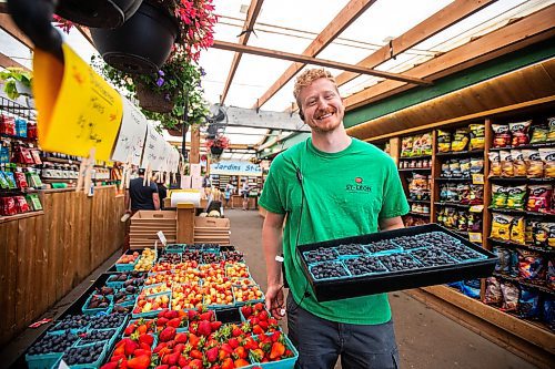 MIKAELA MACKENZIE / FREE PRESS

Colin Rémillard, co-owner of Jardins St-Léon Gardens, with Manitoba-grown Haskaps (the first local berries available), on Monday, June 24, 2024.

For Matt story.

