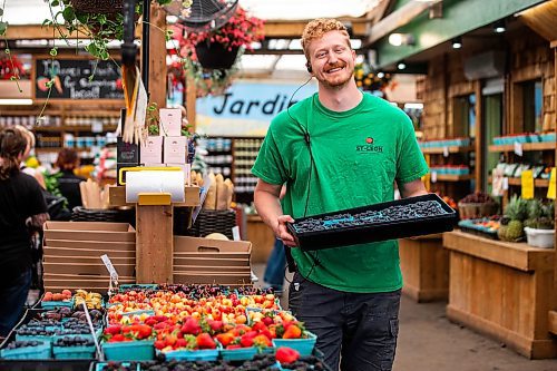 MIKAELA MACKENZIE / FREE PRESS

Colin Rémillard, co-owner of Jardins St-Léon Gardens, with Manitoba-grown Haskaps (the first local berries available), on Monday, June 24, 2024.

For Matt story.

