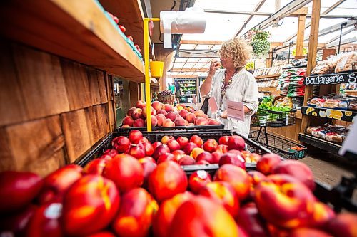 MIKAELA MACKENZIE / FREE PRESS

Christine Kirouac shops at Jardins St-Léon Gardens on Monday, June 24, 2024.

For Matt story.

