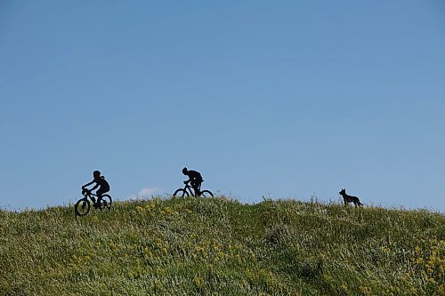 24062024
Metal sculptures of children riding bikes with a dog behind them stand out on a hill near Highway 10 south of Brandon. (Tim Smith/The Brandon Sun)