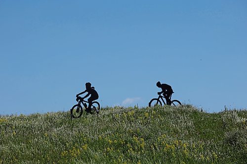 24062024
Metal sculptures of children riding bikes with a dog behind them stand out on a hill near Highway 10 south of Brandon. (Tim Smith/The Brandon Sun)