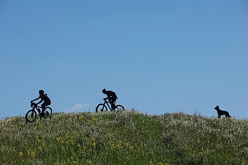 24062024
Metal sculptures of children riding bikes with a dog behind them stand out on a hill near Highway 10 south of Brandon. (Tim Smith/The Brandon Sun)