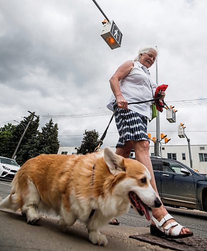 JOHN WOODS / FREE PRESS
Vicki Harris-Clarkson and Kira use a new crosswalk at St Mary and Carrier Monday, June 24, 2024. The city has added lights and time at several crosswalks.

Reporter: joyanne