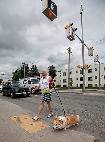 JOHN WOODS / FREE PRESS
Vicki Harris-Clarkson and Kira use a new crosswalk at St Mary and Carrier Monday, June 24, 2024. The city has added lights and time at several crosswalks.

Reporter: joyanne