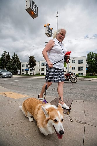 JOHN WOODS / FREE PRESS
Vicki Harris-Clarkson and Kira use a new crosswalk at St Mary and Carrier Monday, June 24, 2024. The city has added lights and time at several crosswalks.

Reporter: joyanne