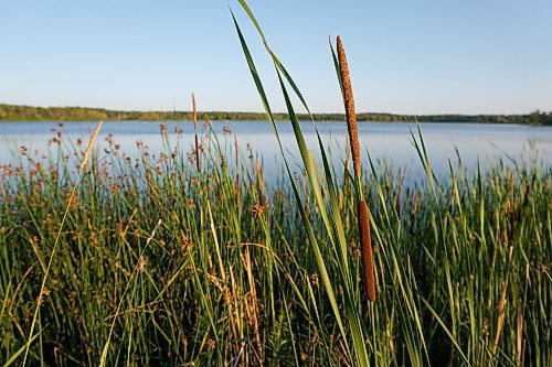 EVA WASNEY / FREE PRESS
Adam Lake holds the beating heart of my summer: approachable outdoor adventure, bountiful wildlife and oddball amenities. 