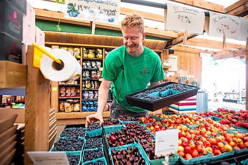 MIKAELA MACKENZIE / FREE PRESS

Colin Rémillard, co-owner of Jardins St-Léon Gardens, with Manitoba-grown Haskaps (the first local berries available), on Monday, June 24, 2024.

For Matt story.

