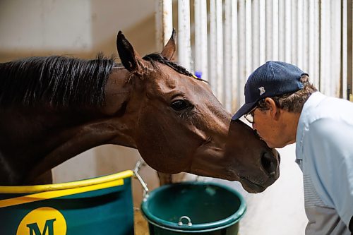 MIKE DEAL / FREE PRESS
Trainer’s Carlos Moreno and Maria Isabel with Mr. Stang at Assiniboia Downs Friday morning.
240628 - Friday, June 28, 2024.