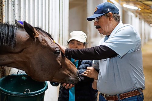 MIKE DEAL / FREE PRESS
Trainer&#x2019;s Carlos Moreno and Maria Isabel with Mr. Stang at Assiniboia Downs Friday morning.
240628 - Friday, June 28, 2024.