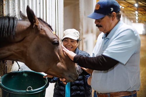 MIKE DEAL / FREE PRESS
Trainer&#x2019;s Carlos Moreno and Maria Isabel with Mr. Stang at Assiniboia Downs Friday morning.
240628 - Friday, June 28, 2024.