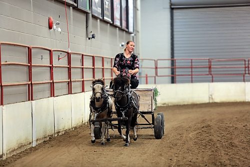 Rebecca Penner drives her miniature horses during a two-horse draft competition at the Manitoba Small Equine Show on Sunday. (Colin Slark/The Brandon Sun)