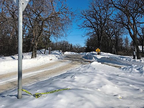 MIKE DEAL / WINNIPEG FREE PRESS

Winnipeg police say the body of Paul Enns, 43, was discovered in a car in this parking lot off Conservatory Drive at Assiniboine Park, just north of Corydon Avenue, when officers responded to a well-being call at about 3 a.m., Saturday, February 26, 2022.
A 15-year-old Stonewall girl is accused of murdering and robbing Enns.