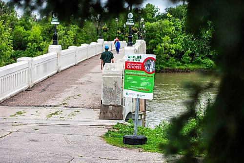 MIKAELA MACKENZIE / FREE PRESS

Signs warn visitors of coyotes at Assiniboine Park on Tuesday, July 2, 2024. 

For Malak story.

