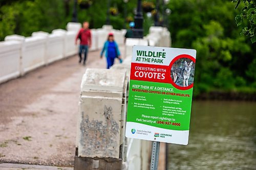 MIKAELA MACKENZIE / FREE PRESS

Signs warn visitors of coyotes at Assiniboine Park on Tuesday, July 2, 2024. 

For Malak story.

