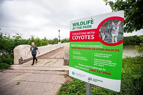 MIKAELA MACKENZIE / FREE PRESS

Signs warn visitors of coyotes at Assiniboine Park on Tuesday, July 2, 2024. 

For Malak story.

