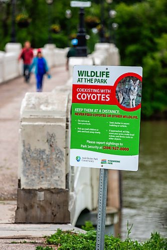 MIKAELA MACKENZIE / FREE PRESS

Signs warn visitors of coyotes at Assiniboine Park on Tuesday, July 2, 2024. 

For Malak story.

