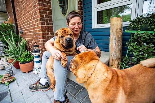 MIKAELA MACKENZIE / FREE PRESS

Long haul trucker and dog shower Devi Gershbain and her dogs, Ever and Radar, at home in Winnipeg on Wednesday, July 3, 2024. The CDC is changing the rules on bringing dogs across the Canada/U.S. border, which will impact the trucking, show dog and breeder communities. 

For Jura story.

