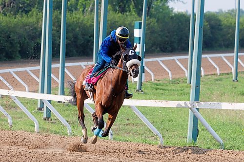 MIKE DEAL / FREE PRESS
Jockey Renaldo Cumberbatch got his 500th winner this week at Assiniboia Downs. Cumberbatch works Awareness Autism Thursday morning on the main track at Assiniboia Downs.
240704 - Thursday, July 04, 2024.