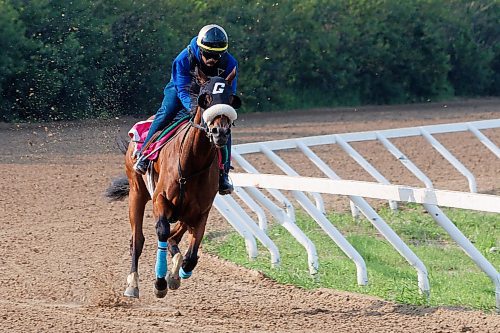 MIKE DEAL / FREE PRESS
Jockey Renaldo Cumberbatch got his 500th winner this week at Assiniboia Downs. Cumberbatch works Awareness Autism Thursday morning on the main track at Assiniboia Downs.
240704 - Thursday, July 04, 2024.