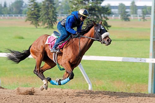 MIKE DEAL / FREE PRESS
Jockey Renaldo Cumberbatch got his 500th winner this week at Assiniboia Downs. Cumberbatch works Awareness Autism Thursday morning on the main track at Assiniboia Downs.
240704 - Thursday, July 04, 2024.