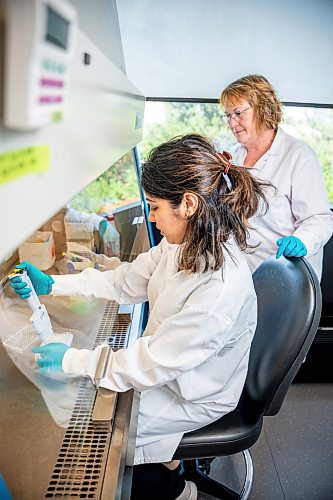 NIC ADAM / FREE PRESS
Quality Control Analyst Rajneet Battu (left) and Chief Quality Officer Lori Christofalos pictured in the Microbiology lab of Kane Biotech&#x2019;s Laboratory at U of M&#x2019;s Smartpark on Friday morning.
240705 - Friday, July 05, 2024.

Reporter: Martin Cash