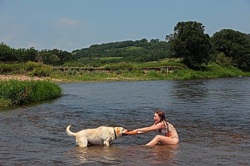 08072024
Bailey Anderson plays tug-of-war with family dog Marlo in the Little Saskatchewan River at the Daly - Whitehead Centennial Bridge on a hot Monday afternoon. 
(Tim Smith/The Brandon Sun)