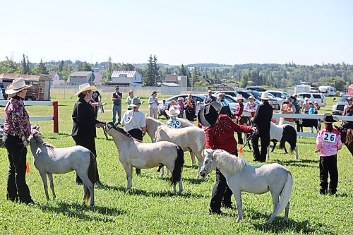 Miniature horse owners from Westman and beyond showcase their animals during the Minnedosa Agricultural Society’s 137th Fair and Exhibition, which took place over the weekend. (Kyle Darbyson/The Brandon Sun)