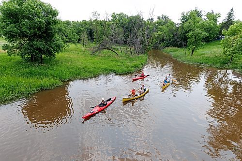 MIKE DEAL / FREE PRESS
Members of the Nature Manitoba Grey Hares paddle along the Seine River approaching where it flows underneath Marion Street Wednesday afternoon. The group of retired and partially retired people gather for outdoor activities every Wednesday.
240710 - Wednesday, July 10, 2024.