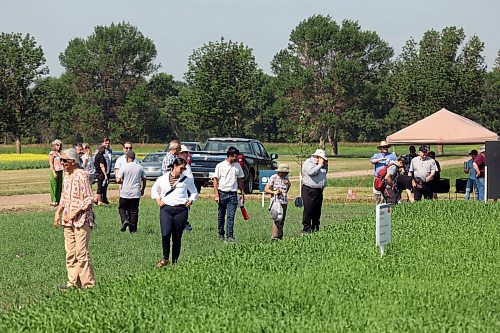 Visitors explore barley strain plots and interactive displays during the centennial celebration of Agriculture and Agri-Food Canada’s Brandon Research and Development Centre barley breeding program on Thursday. (Tim Smith/The Brandon Sun)