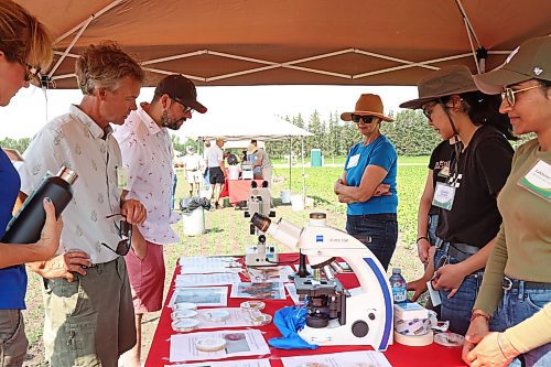 Visitors explore barley strain plots and interactive displays during the Centennial Celebration of the Agriculture and Agri-Food Canada’s Brandon Research and Development Centre Barley Breeding Program on Thursday. (Tim Smith/The Brandon Sun)