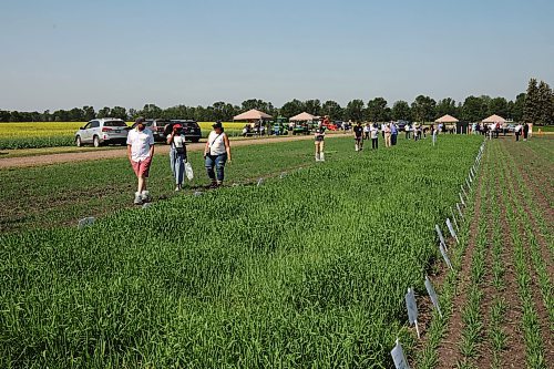 11072024
Visitors explore barley strain plots and interactive displays during the Centennial Celebration of the Agriculture and Agri-Food Canada&#x2019;s (AAFC) Brandon Research and Development Centre (Brandon-RDC) Barley Breeding Program on Thursday. (Tim Smith/The Brandon Sun)
