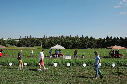 11072024
Visitors explore barley strain plots and interactive displays during the Centennial Celebration of the Agriculture and Agri-Food Canada&#x2019;s (AAFC) Brandon Research and Development Centre (Brandon-RDC) Barley Breeding Program on Thursday. (Tim Smith/The Brandon Sun)
